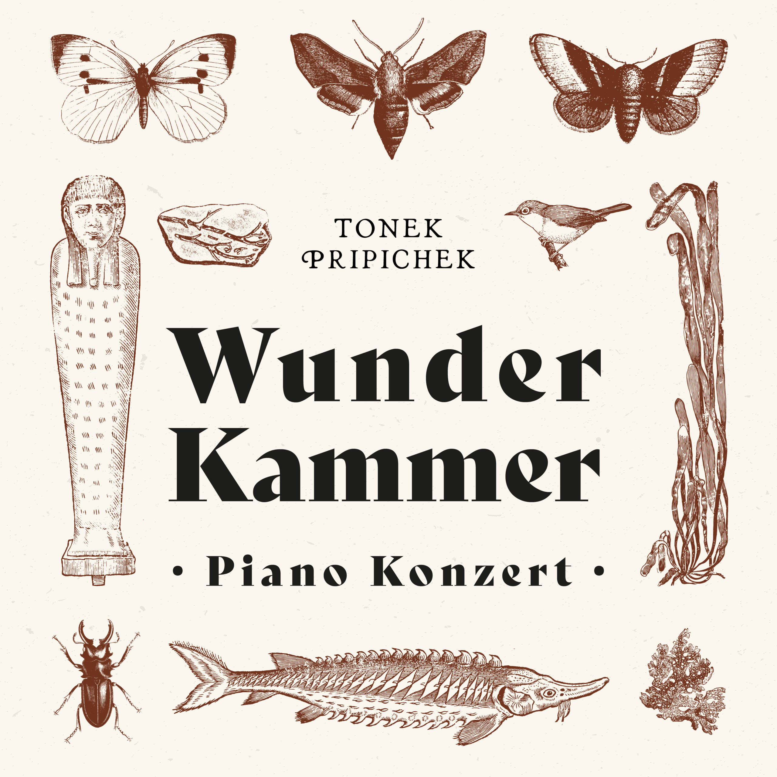 TempusFugit_Wunderkammer_copertina